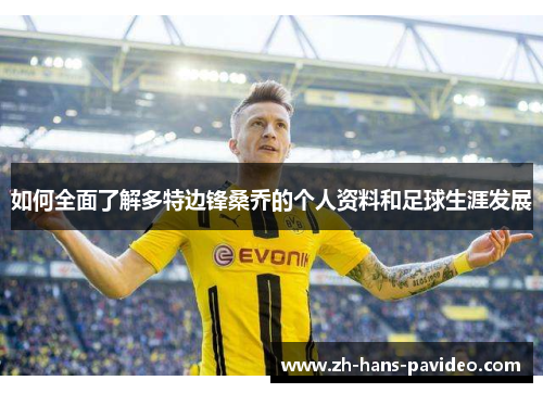 如何全面了解多特边锋桑乔的个人资料和足球生涯发展