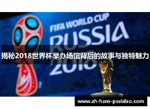 揭秘2018世界杯举办场馆背后的故事与独特魅力